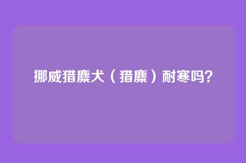 挪威猎麋犬(猎麋)耐寒吗?
