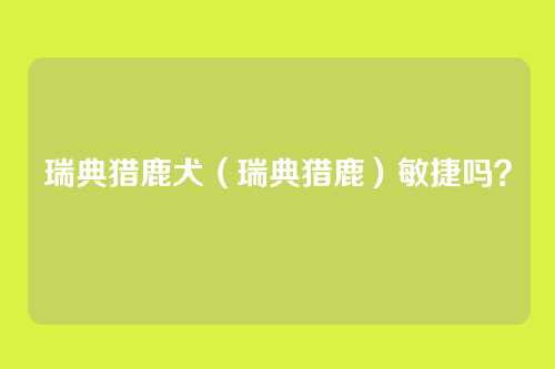瑞典猎鹿犬(瑞典猎鹿)敏捷吗?