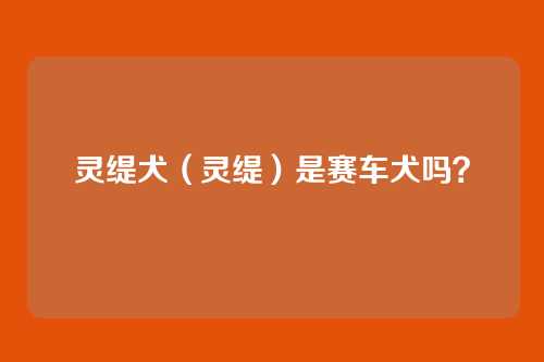 灵缇犬（灵缇）是赛车犬吗？