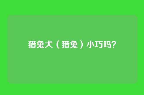 猎兔犬（猎兔）小巧吗？