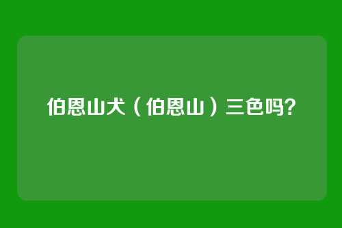 伯恩山犬(伯恩山)三色吗?