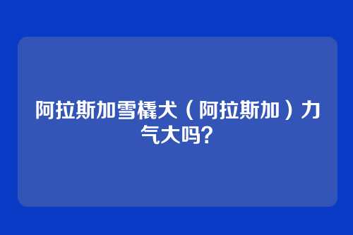 阿拉斯加雪橇犬（阿拉斯加）力气大吗？