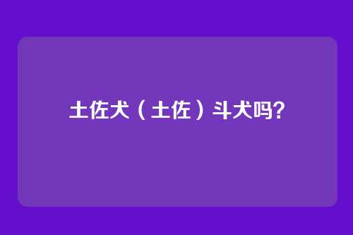 土佐犬(土佐)斗犬吗?