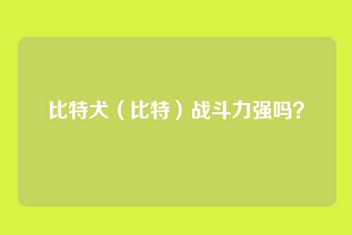比特犬(比特)战斗力强吗?