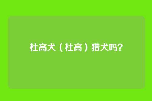 杜高犬（杜高）猎犬吗？