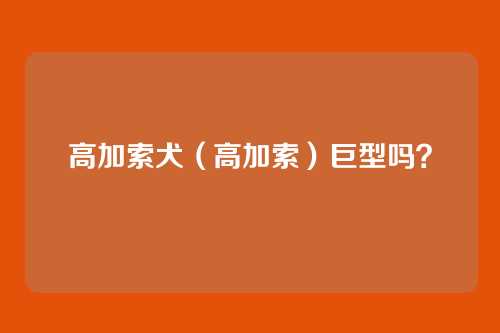 高加索犬（高加索）巨型吗？