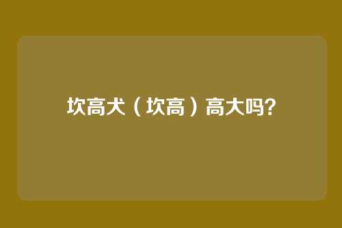 坎高犬(坎高)高大吗?