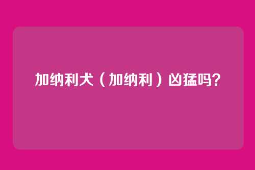加纳利犬(加纳利)凶猛吗?