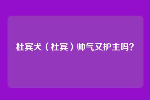 杜宾犬（杜宾）帅气又护主吗？