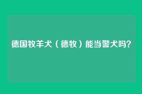 德国牧羊犬(德牧)能当警犬吗?