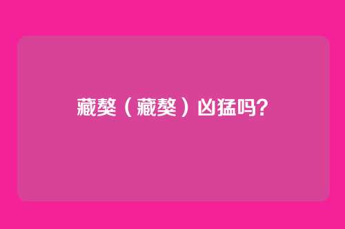 藏獒(藏獒)凶猛吗?