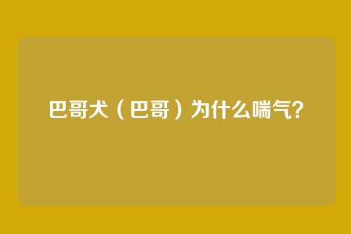 巴哥犬(巴哥)为什么喘气?
