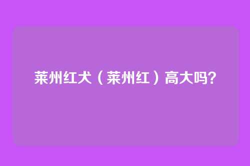 莱州红犬(莱州红)高大吗?