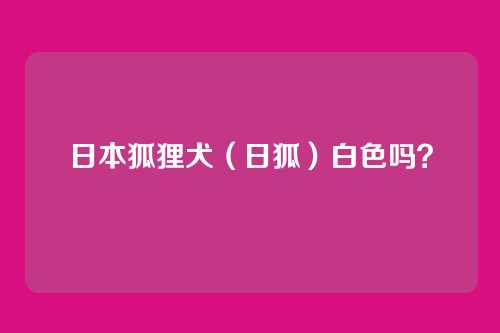 日本狐狸犬（日狐）白色吗？