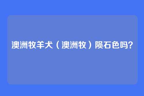 澳洲牧羊犬（澳洲牧）陨石色吗？