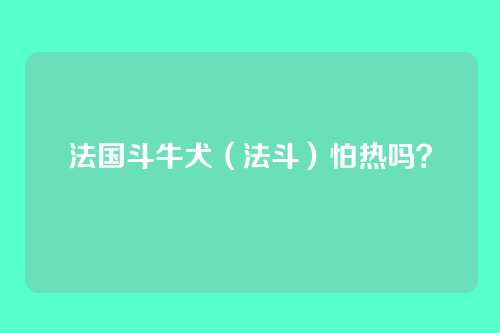 法国斗牛犬(法斗)怕热吗?
