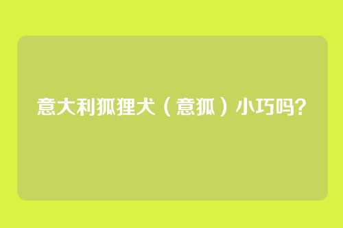 意大利狐狸犬(意狐)小巧吗?
