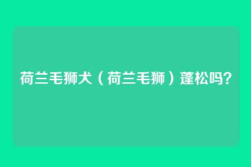 荷兰毛狮犬(荷兰毛狮)蓬松吗?