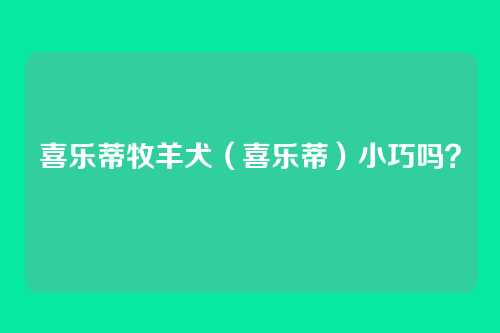 喜乐蒂牧羊犬(喜乐蒂)小巧吗?