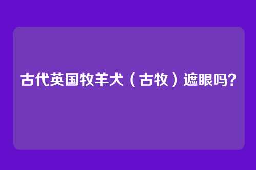 古代英国牧羊犬（古牧）遮眼吗？