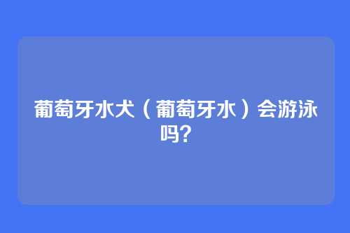 葡萄牙水犬(葡萄牙水)会游泳吗?