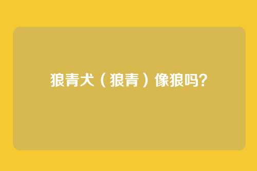 狼青犬(狼青)像狼吗?