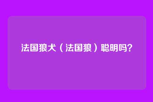 法国狼犬（法国狼）聪明吗？