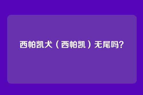 西帕凯犬(西帕凯)无尾吗?