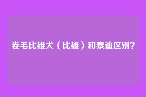 卷毛比雄犬（比雄）和泰迪区别？