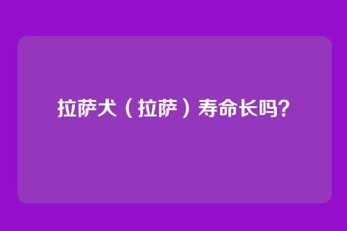 拉萨犬（拉萨）寿命长吗？