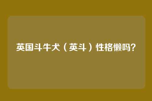 英国斗牛犬(英斗)性格懒吗?
