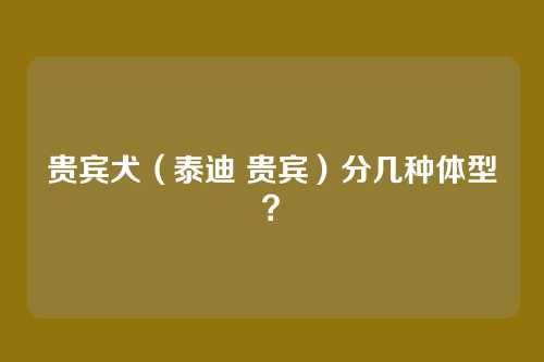 贵宾犬(泰迪 贵宾)分几种体型?