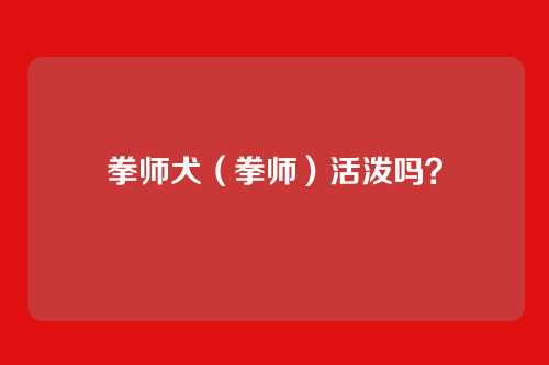 拳师犬(拳师)活泼吗?