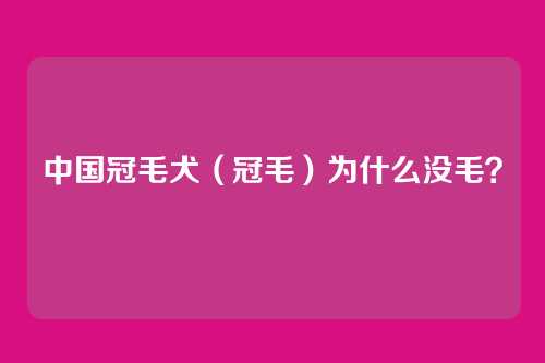 中国冠毛犬（冠毛）为什么没毛？