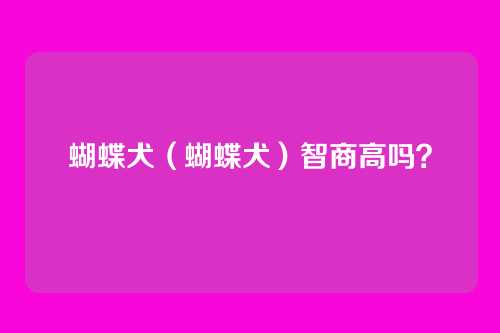 蝴蝶犬(蝴蝶犬)智商高吗?
