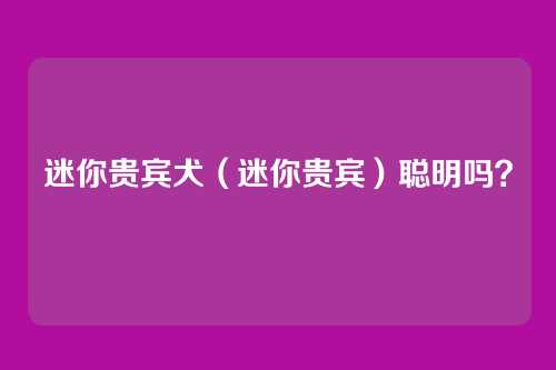迷你贵宾犬（迷你贵宾）聪明吗？
