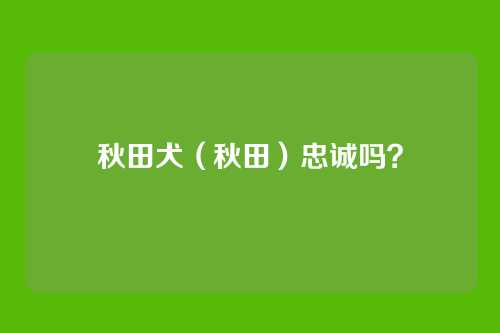 秋田犬(秋田)忠诚吗?
