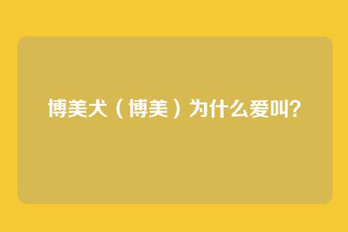 博美犬（博美）为什么爱叫？