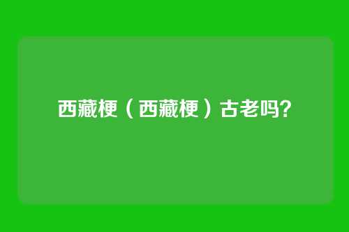 西藏梗（西藏梗）古老吗？