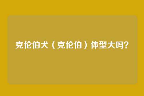 克伦伯犬（克伦伯）体型大吗？