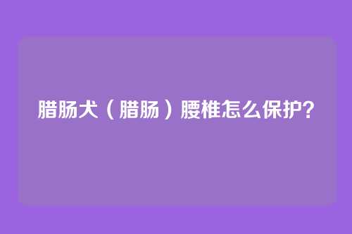 腊肠犬(腊肠)腰椎怎么保护?
