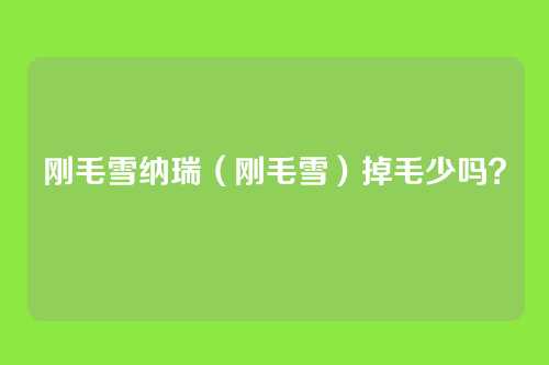 刚毛雪纳瑞(刚毛雪)掉毛少吗?