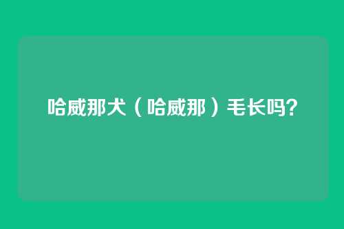 哈威那犬(哈威那)毛长吗?