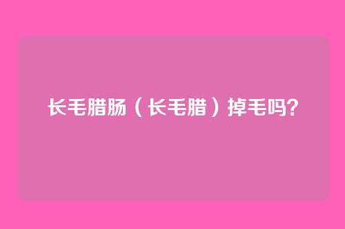 长毛腊肠（长毛腊）掉毛吗？