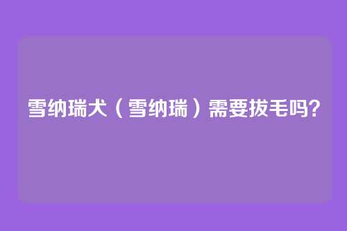 雪纳瑞犬(雪纳瑞)需要拔毛吗?