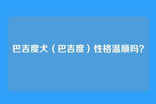 巴吉度犬(巴吉度)性格温顺吗?