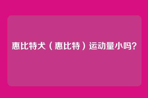 惠比特犬（惠比特）运动量小吗？