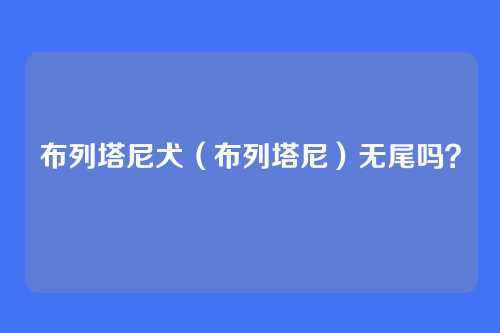 布列塔尼犬(布列塔尼)无尾吗?