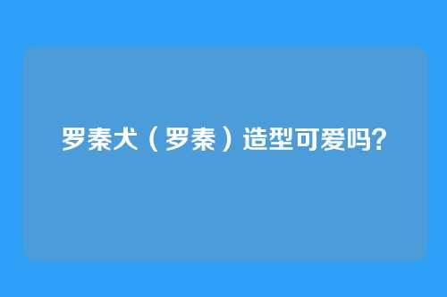 罗秦犬（罗秦）造型可爱吗？