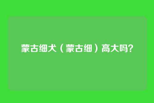 蒙古细犬(蒙古细)高大吗?